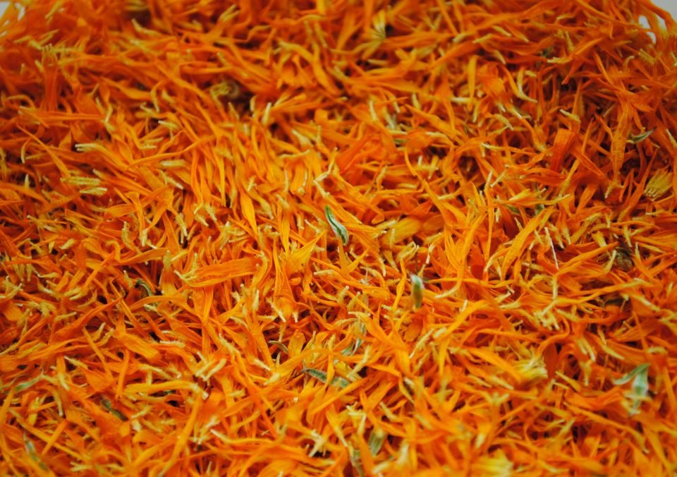 calendula petals