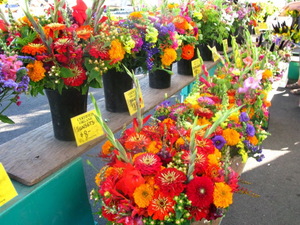 Edible Flowers Market